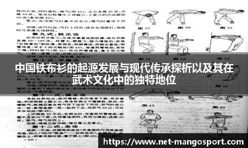 中国铁布衫的起源发展与现代传承探析以及其在武术文化中的独特地位