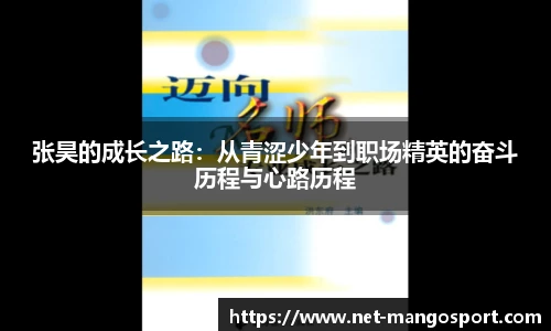 张昊的成长之路：从青涩少年到职场精英的奋斗历程与心路历程