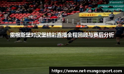 雷根斯堡对汉堡精彩直播全程回顾与赛后分析